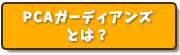 PACガーディアンズとは